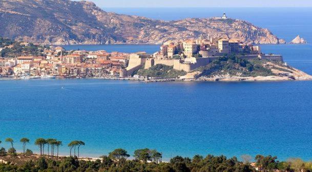 Appartement Ou Studio La Mer & La Plage A Vos Pieds Calvi Calvi  Exterior foto