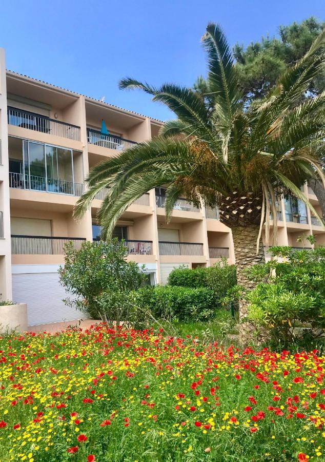 Appartement Ou Studio La Mer & La Plage A Vos Pieds Calvi Calvi  Exterior foto