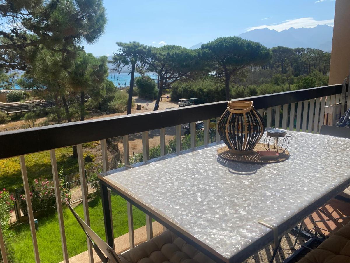Appartement Ou Studio La Mer & La Plage A Vos Pieds Calvi Calvi  Exterior foto