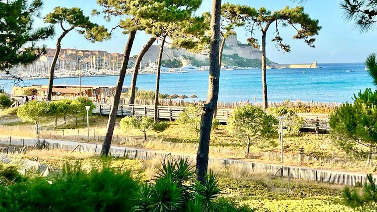 Appartement Ou Studio La Mer & La Plage A Vos Pieds Calvi Calvi  Exterior foto